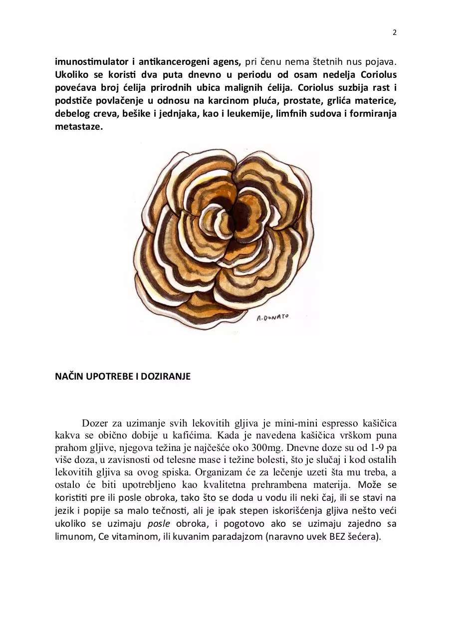 Page 2 of 3, coriolus