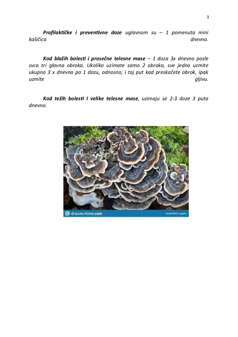 Page 3 of 3, coriolus