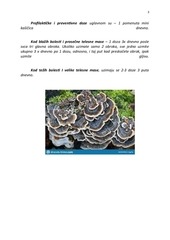 Page 3, coriolus