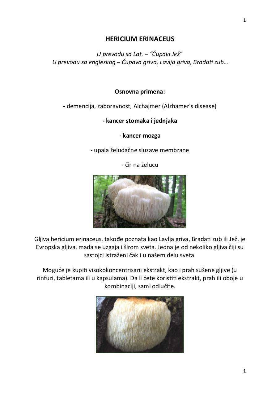 Document preview hericium.pdf - page 1/3
