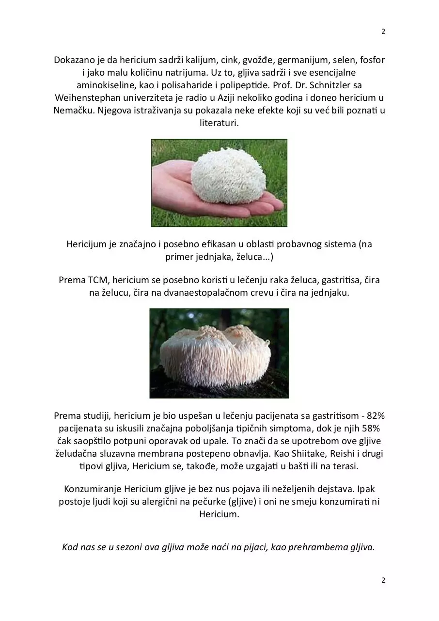 Page 2 of 3, hericium
