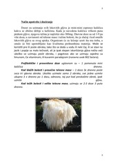 Page 3, hericium