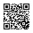QR Code link to PDF file Southern Frattire Company Info - FOR_SALE.pdf