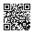 QR Code link to PDF file project.pdf